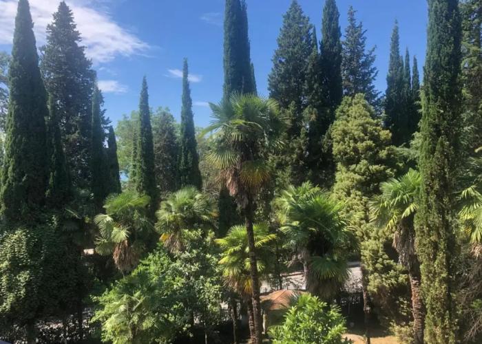 Gagra Hotel
