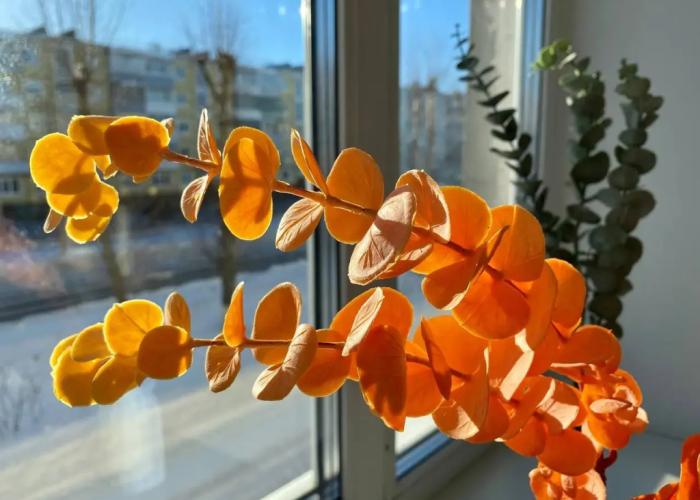 Apartamentyi SeveRent Karla Marksa 26