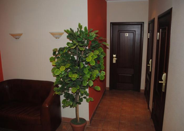 Trevel hotel