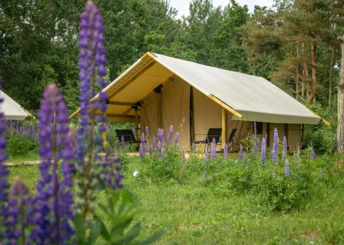 Malina Glemping Kosa Guest House