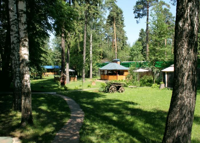 Pushkino Art Hotel