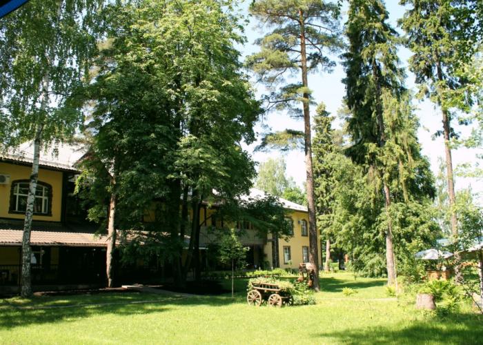 Pushkino Art Hotel