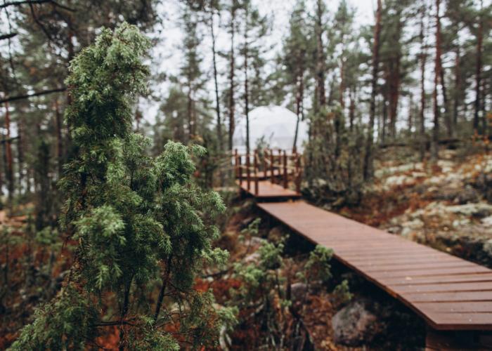 Lago Ladoga Glamping