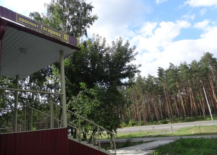 Zolotaya Ryibka Hotel
