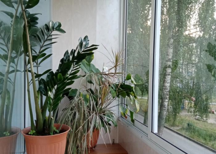 Gogolya 10 Flat