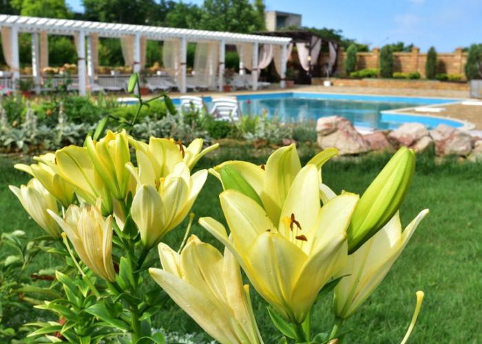 Ozero Snovideniy Hotel
