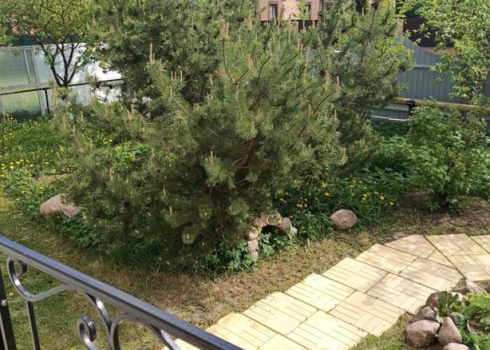 Marienburg Gatchina Guest House
