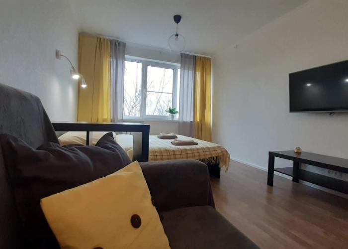 V Samom Tsentre Tikhvina Flat