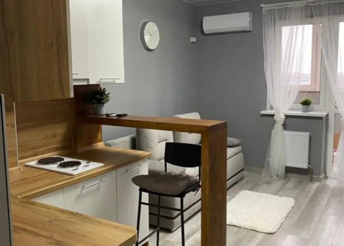 Studiya V Tsentre Batayska Flat
