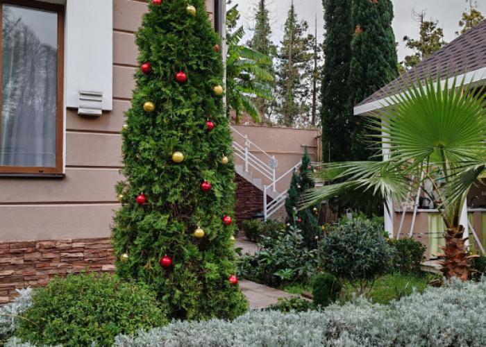 Mimoza Guest House