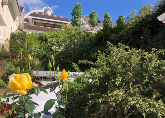 Belveder Villa Guest House