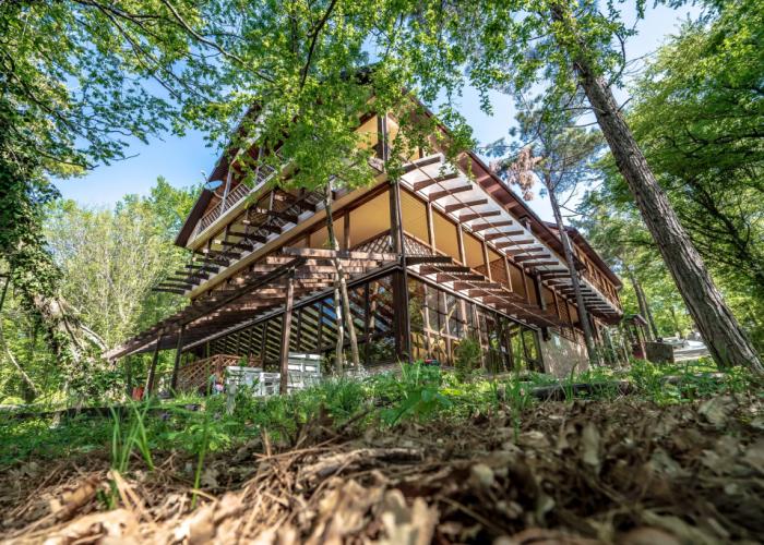 Green Wood Mini-Hotel
