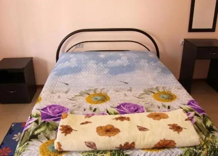 Guest House Elena