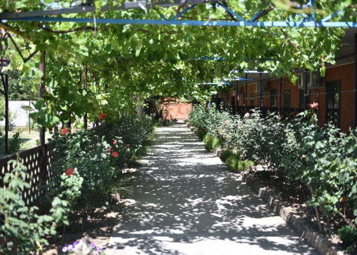 Chudnaya Dolina Guest House