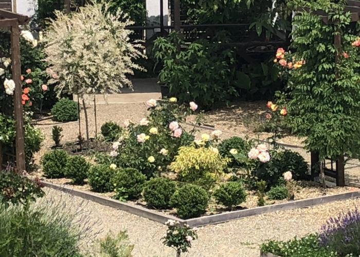Grand Camellia Guest House