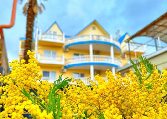 Looguna Guest House