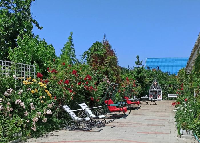 Pansion Paradiz Guest House
