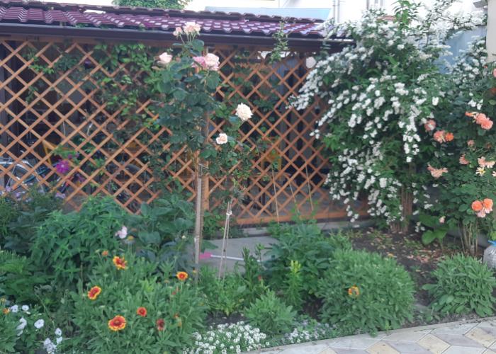 Duet Guest House