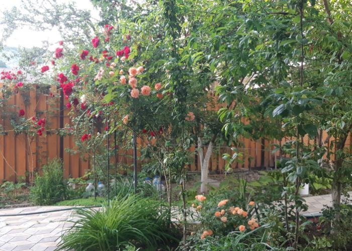 Duet Guest House