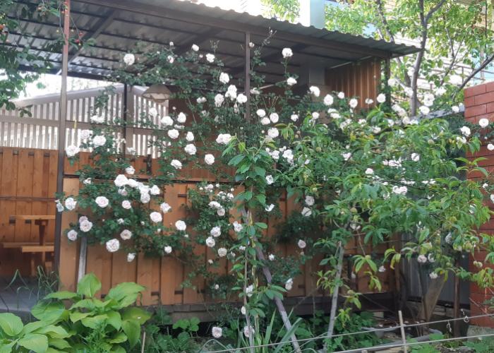 Duet Guest House