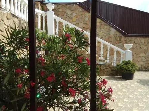 Guest House Chinar