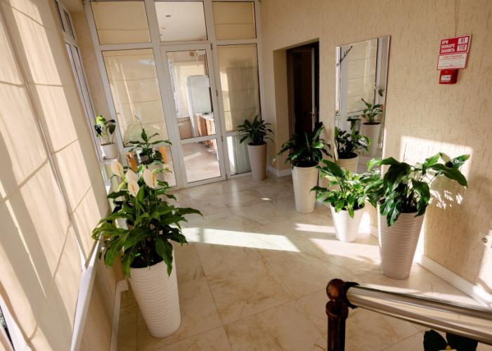 Amigo Guest House