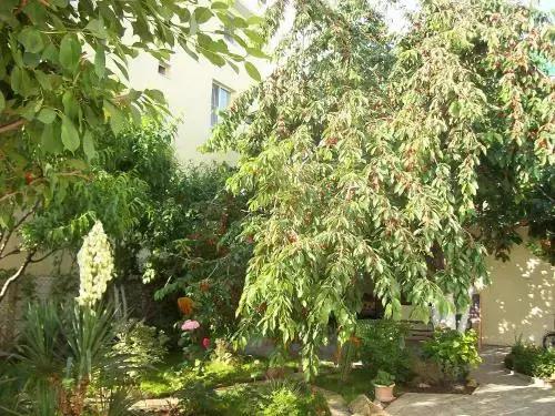 Yucca Guest House