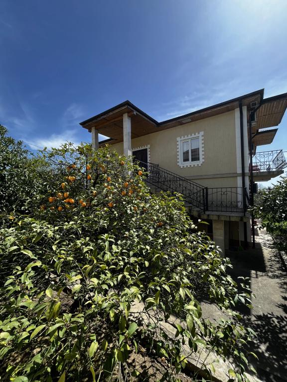 фото Divny Sad Guest House