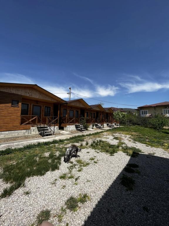 фото Divny Sad Guest House