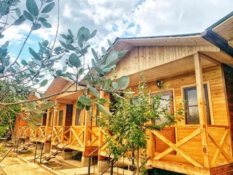 фото Divny Sad Guest House