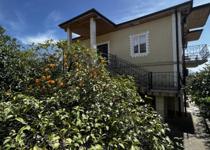 Divny Sad Guest House