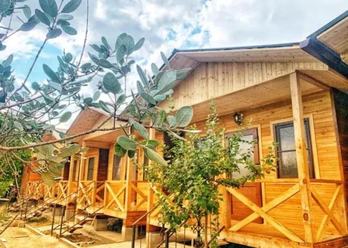 Divny Sad Guest House