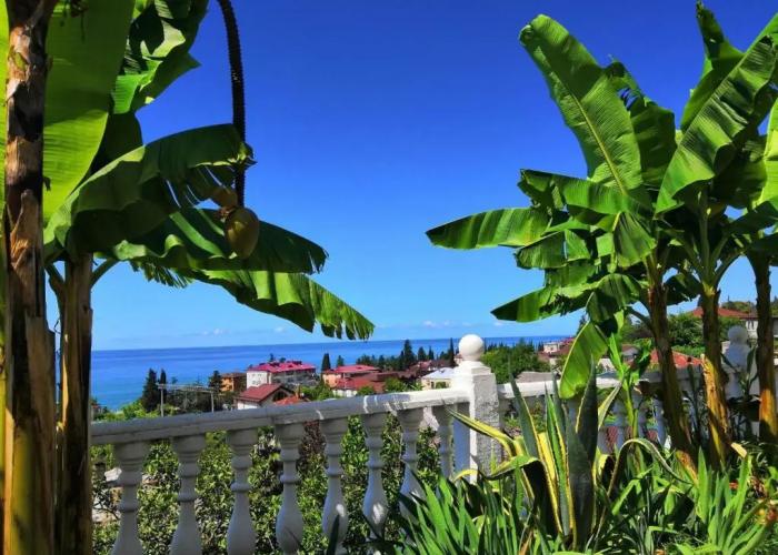 Guest House Amra