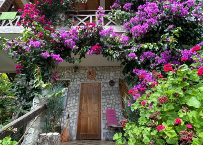 El Platano Guest House