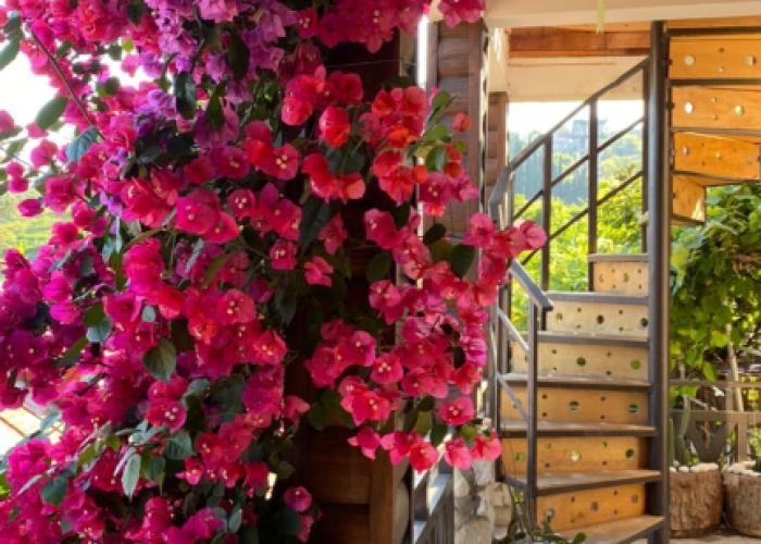 El Platano Guest House