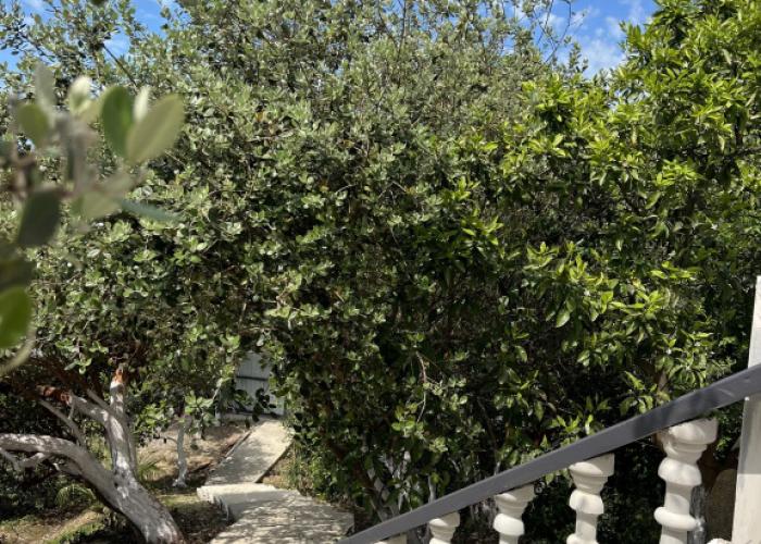 Amalfi Guest House