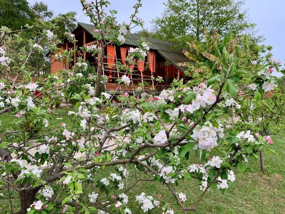 фото Mandarin Guest House