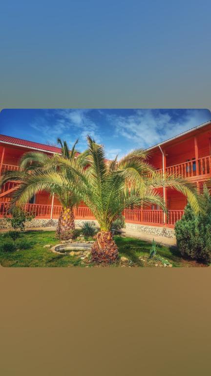 фото Mandarin Guest House