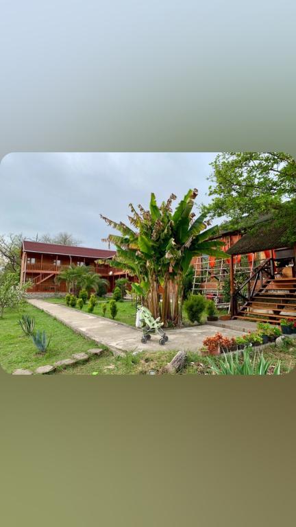 фото Mandarin Guest House