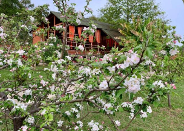 Mandarin Guest House