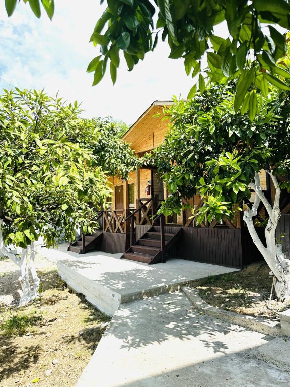 фото Bugenvilliya Guest House