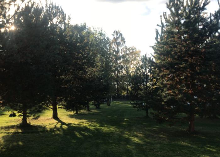 Dunkan Village Club