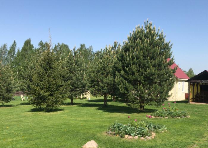 Dunkan Village Club
