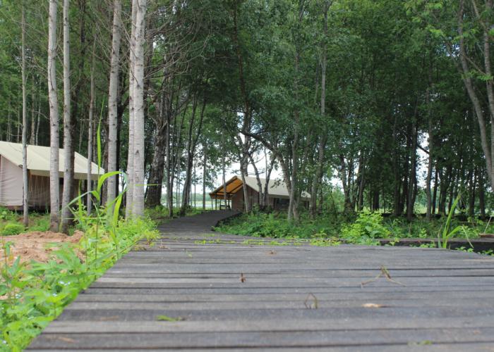 Svoboda Glamping