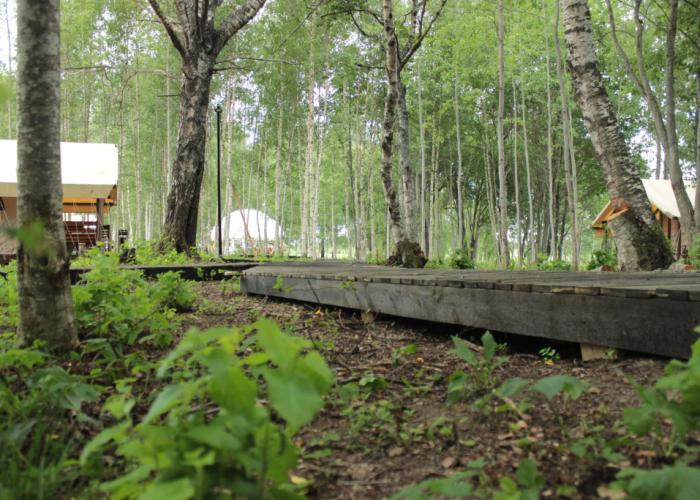 Svoboda Glamping