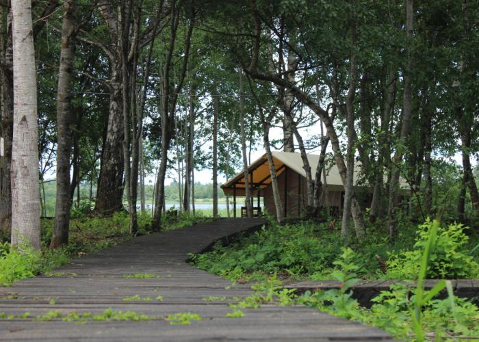 Svoboda Glamping