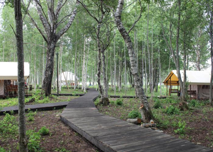 Svoboda Glamping