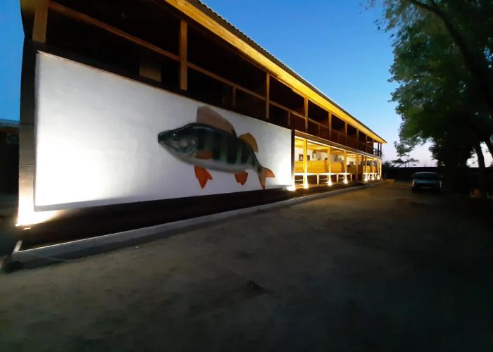 Fish Sense Hotel
