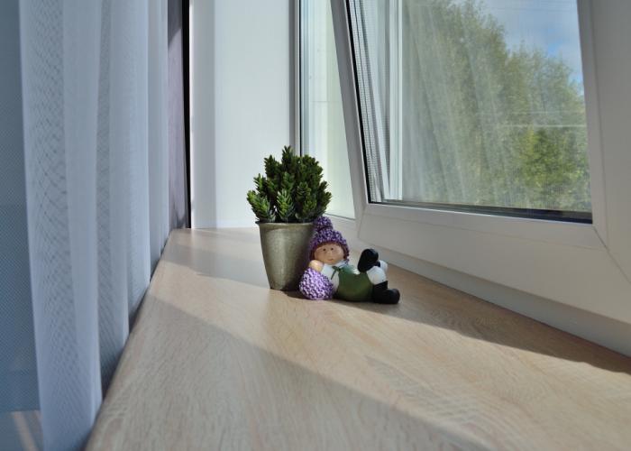 yut Myshkin Guest house