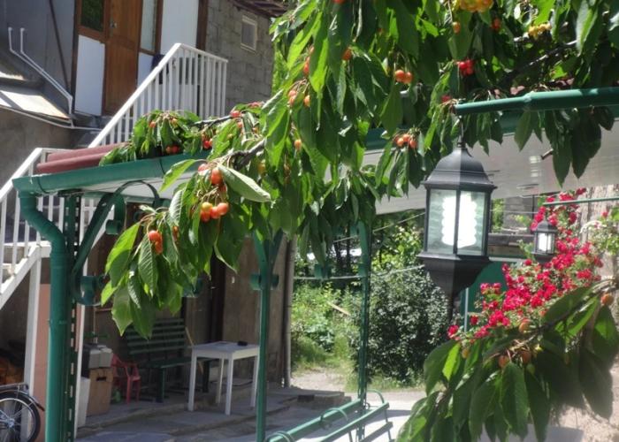 Iris Guest House